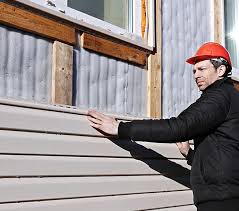 Best Vinyl Siding Installation  in Country Squire Lakes, IN